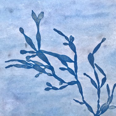 Peinture intitulée "algue Carpopeltis A…" par Maxime Tauban, Œuvre d'art originale, Aquarelle Monté sur Panneau de bois