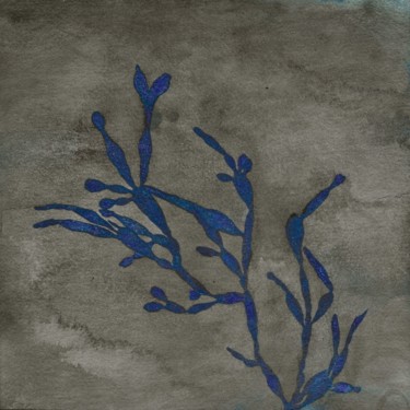 Peinture intitulée "algue Carpopeltis A…" par Maxime Tauban, Œuvre d'art originale, Aquarelle