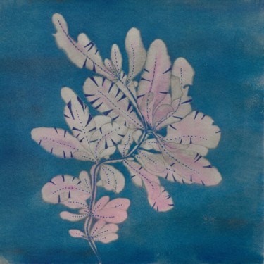 Peinture intitulée "algue Delesseria Mi…" par Maxime Tauban, Œuvre d'art originale, Aquarelle Monté sur Panneau de bois