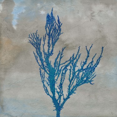 Peinture intitulée "algue Halymenia For…" par Maxime Tauban, Œuvre d'art originale, Aquarelle Monté sur Panneau de bois