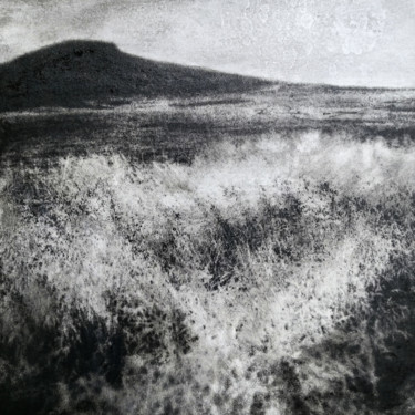 Peinture intitulée "sans titre" par Maxime Tauban, Œuvre d'art originale, Photographie numérique Monté sur Panneau de bois