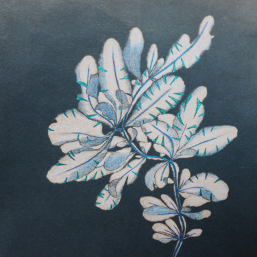 Peinture intitulée "cyanotype réhaussé…" par Maxime Tauban, Œuvre d'art originale, Aquarelle
