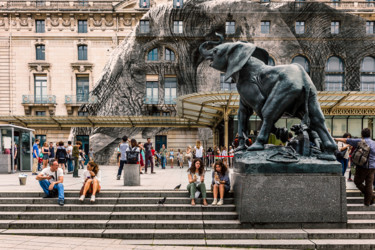 Photographie intitulée "Elephant Orsay" par Maxl, Œuvre d'art originale, Photographie manipulée