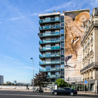 Photographie intitulée "Lionne de Grenelle" par Maxl, Œuvre d'art originale, Photographie manipulée