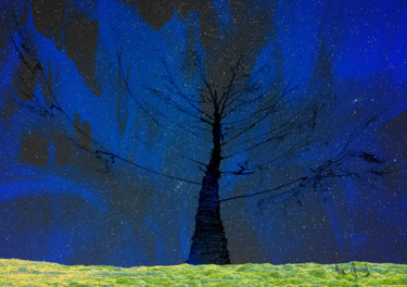 Digital Arts titled "arbre-sous-un-ciel-…" by Max Parisot Du Lyaumont, Original Artwork, Digital Painting Mounted on Alumini…