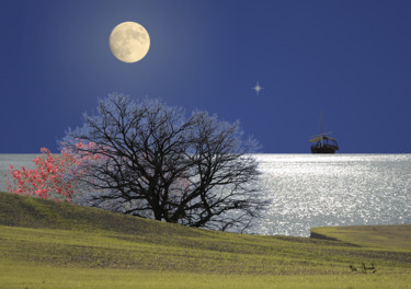 Digital Arts titled "Terre, Terre pour r…" by Max Parisot Du Lyaumont, Original Artwork, Photo Montage