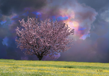 Arts numériques intitulée "Prunus en fleurs" par Max Parisot Du Lyaumont, Œuvre d'art originale, Photo montage