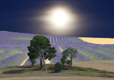 Arts numériques intitulée "Lune et lavande" par Max Parisot Du Lyaumont, Œuvre d'art originale, Photo montage