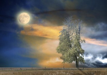 Arts numériques intitulée "Arbre sous un ciel…" par Max Parisot Du Lyaumont, Œuvre d'art originale, Photo montage