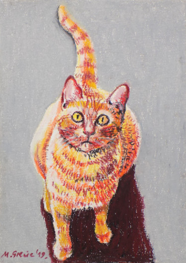 Zeichnungen mit dem Titel "The cat" von Maja Grecic, Original-Kunstwerk, Pastell