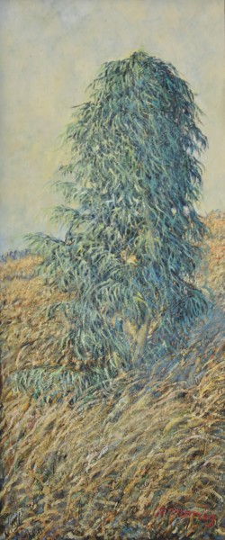 Painting titled "Eucalipto en campo…" by Maymonis, Original Artwork, Oil