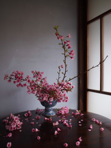 Photography titled "Sakura" by Mayu Arai, Original Artwork