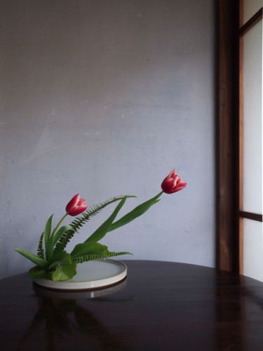 Photography titled "Tulip" by Mayu Arai, Original Artwork
