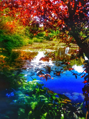 Photography titled "Jardin de Monet" by Patrick Maze, Original Artwork, Non Manipulated Photography