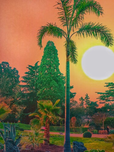 Photographie intitulée "Jardin des Plantes" par Patrick Maze, Œuvre d'art originale, Photographie numérique