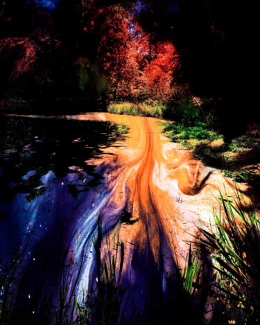 Фотография под названием "Mare  Epinay" - Patrick Maze, Подлинное произведение искусства, Цифровая фотография