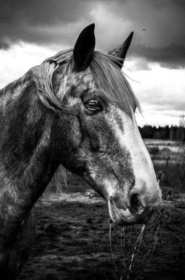 Photographie intitulée "Kazame" par Anna Fratoni, Œuvre d'art originale, Photographie numérique