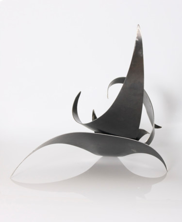 Скульптура под названием "Raven" - M Berrin Kayman, Подлинное произведение искусства, Другой