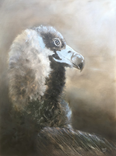 Vautour moine Peinture intitulée "Vautour moine" par Magali Gauthier (M B), Œuvre d'art originale, Huile