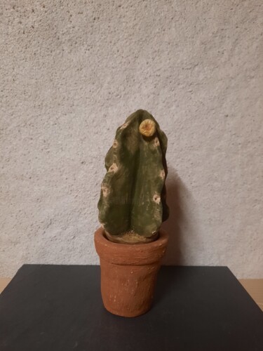 Skulptur mit dem Titel "Cactus à facettes" von Mc Boucault (MCB), Original-Kunstwerk, Keramik
