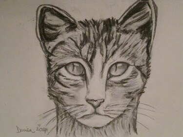 Drawing titled "Le chat" by Mc Devésa, Original Artwork, Pencil