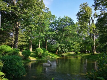 Photography titled "Le parc de Westmoun…" by Mc Devésa, Original Artwork, Non Manipulated Photography