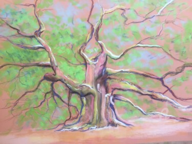 Peinture intitulée "Le grand chêne" par Mc Toulouse, Œuvre d'art originale, Pastel
