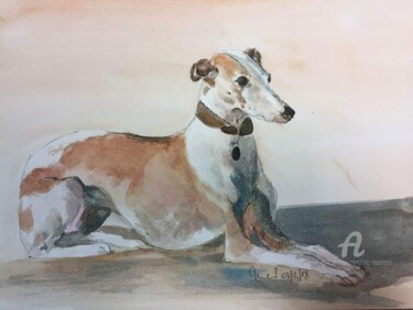 Painting titled "Anthinea my whippet" by Mc Toulouse, Original Artwork, Watercolor
