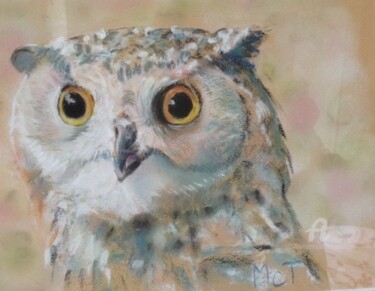 Painting titled "Hibou" by Mc Toulouse, Original Artwork, Pastel Mounted on Cardboard