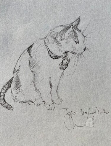 Disegno intitolato "Togo le chat" da Mc Toulouse, Opera d'arte originale, Penna gel