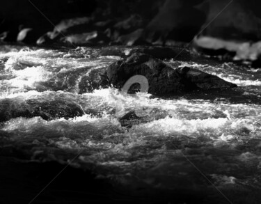 Photography titled ""Deschutes river ro…" by Michael C Bertsch, Original Artwork