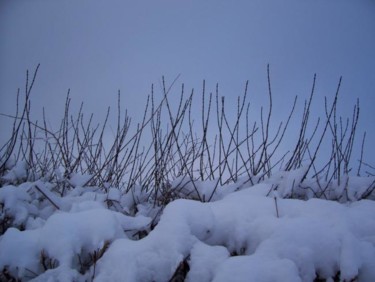 Photographie intitulée "Douce, la neige" par Christine Fric, Œuvre d'art originale