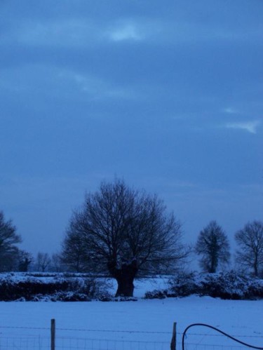 Photographie intitulée "Crépuscule bleu" par Christine Fric, Œuvre d'art originale