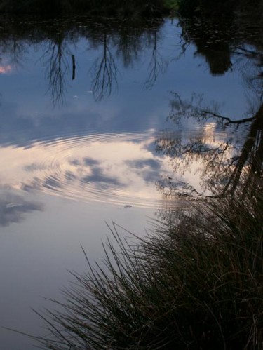 Photographie intitulée "rond dans l'eau" par Christine Fric, Œuvre d'art originale