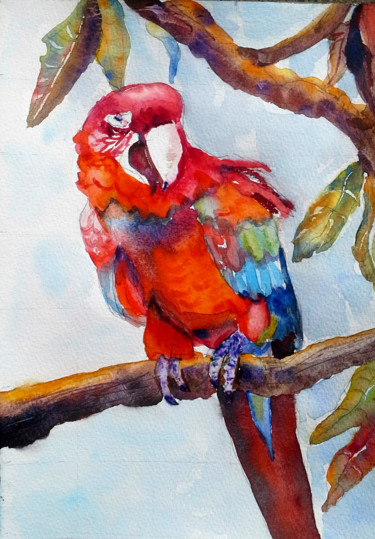 Painting titled "Parrot on a branch" by Agnes Mclaughlin, Original Artwork, Watercolor