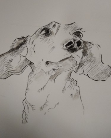 Drawing titled "Dolly" by Martine Chatain Ottelé, Original Artwork, Pencil