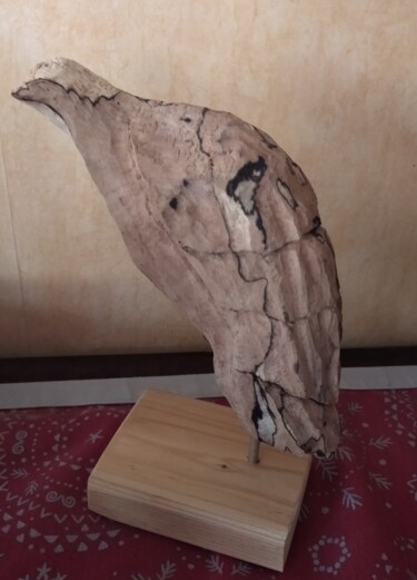 Sculpture intitulée "l'oiseau" par Martine Chatain Ottelé, Œuvre d'art originale, Bois