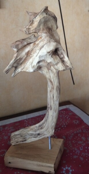 Sculpture intitulée "un oiseau inconnu" par Martine Chatain Ottelé, Œuvre d'art originale, Bois