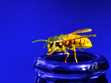 Digital Arts titled "The Alcoholic Wasp" by Marco Brugts, Original Artwork, 2D Digital Work