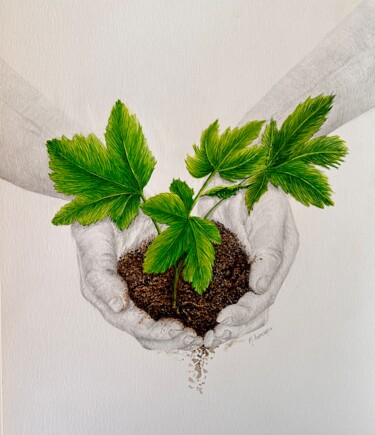 Drawing titled "«VERDE II»" by M.Domarco, Original Artwork, Pencil