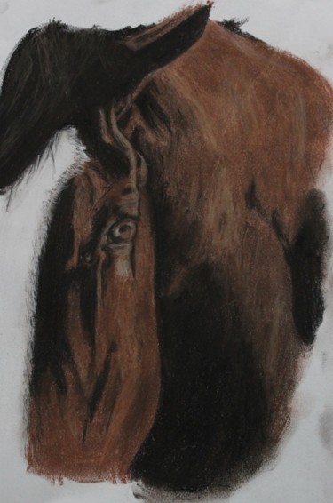 Drawing titled "Horse Head" by Meaghan Metcalf, Original Artwork, Other