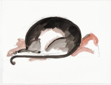 Dessin intitulée "gato durmiente" par Medora, Œuvre d'art originale