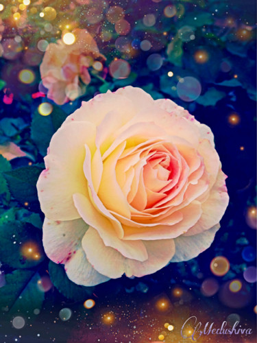 Photographie intitulée ""A la Rose"© Medush…" par Medushiva, Œuvre d'art originale, Photographie manipulée