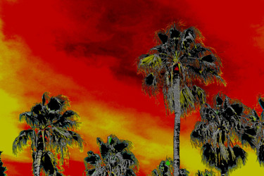 Fotografía titulada "palmeras259.jpg" por Jonfennel, Obra de arte original