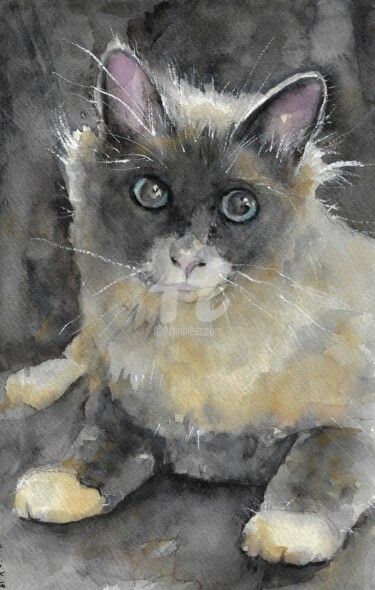 Painting titled "Lovely Kitty" by Melanie Kempkes, Original Artwork, Watercolor