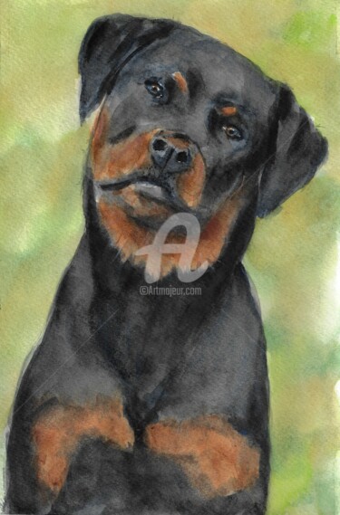 Malerei mit dem Titel "Rottweiler" von Melanie Kempkes, Original-Kunstwerk, Aquarell
