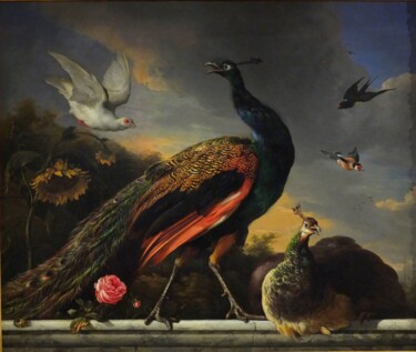 Pittura intitolato "Peacocks, male and…" da Melchior D'Hondecoeter, Opera d'arte originale, Olio
