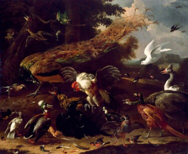 Malarstwo zatytułowany „The Crow Exposed” autorstwa Melchior D'Hondecoeter, Oryginalna praca, Olej