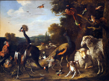 Malarstwo zatytułowany „Animal in front of…” autorstwa Melchior D'Hondecoeter, Oryginalna praca, Olej