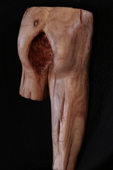 Sculpture intitulée "Attentat" par Marie Hélène Bresson, Œuvre d'art originale, Bois